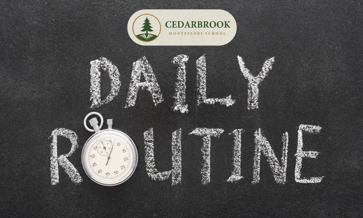 Daily Schedule