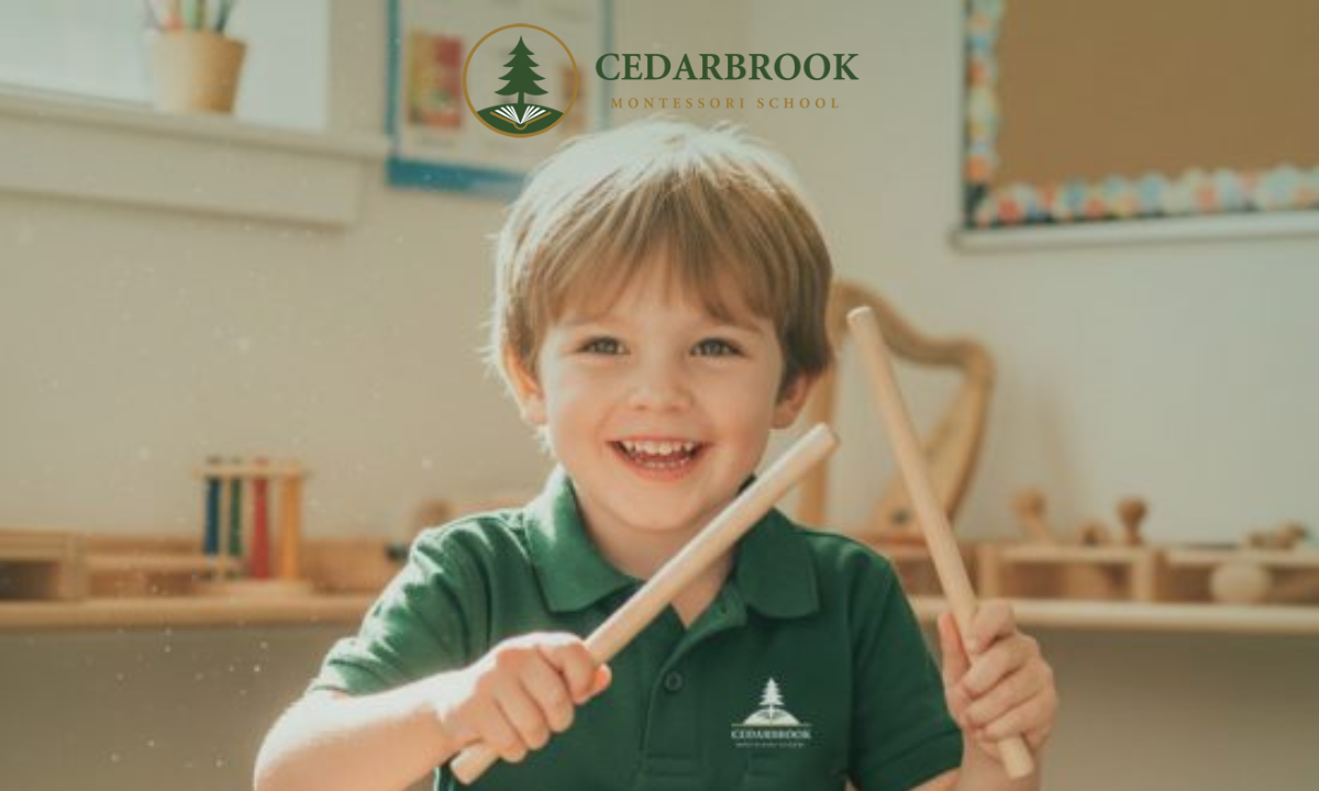 Curriculum