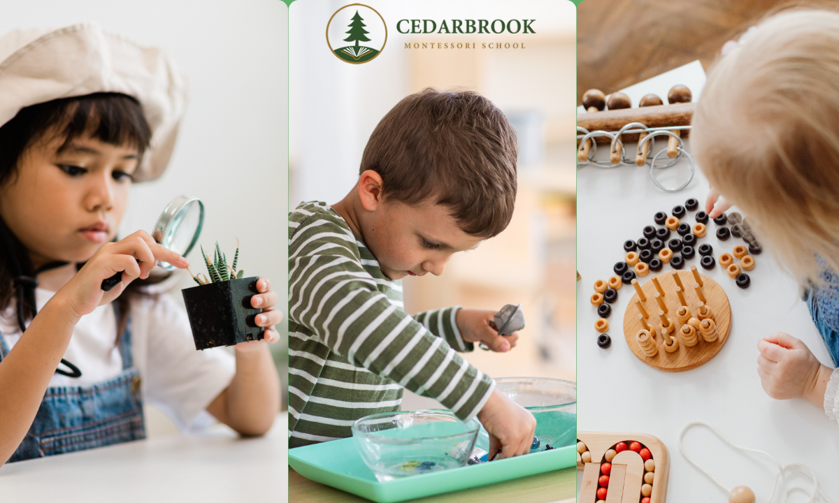 Montessori Education